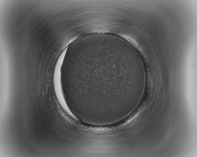 X0000086960889200704301235