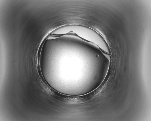 X0000086960891200704301235