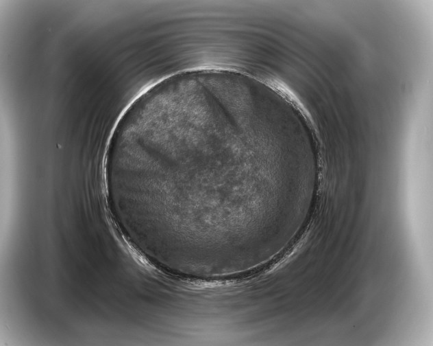 X0000086960892200704301235