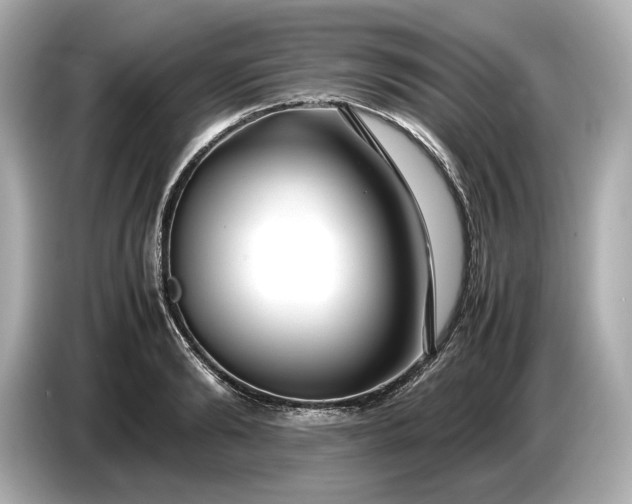 X0000086960894200704301235