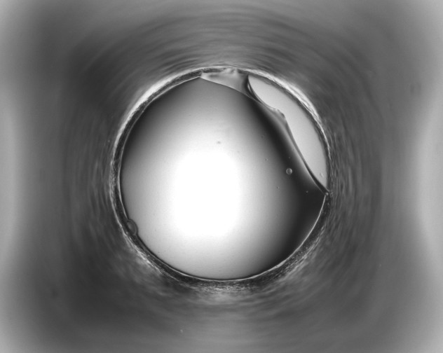 X0000086960895200704301235