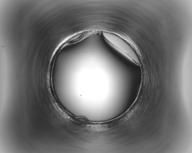 X0000086960896200704301235
