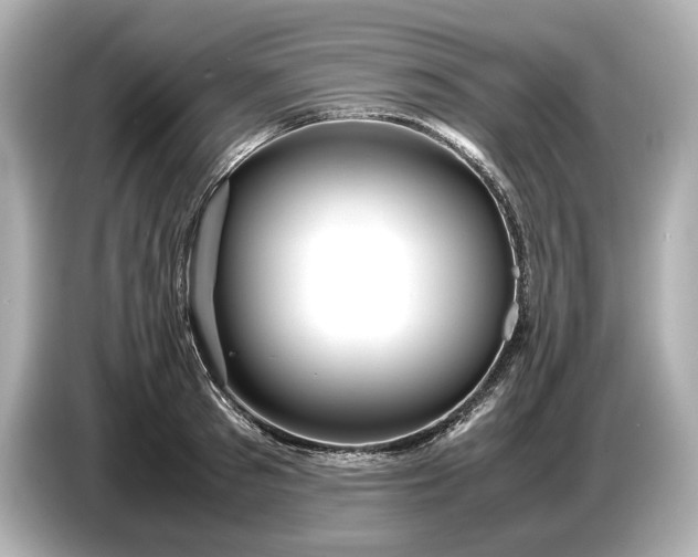 X0000086960897200704301235