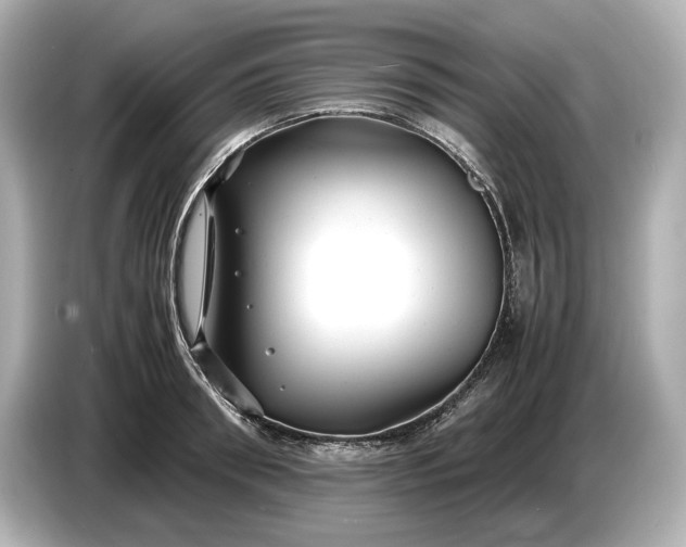 X0000086960898200704301235