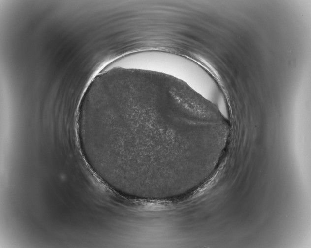 X0000086960899200704301235