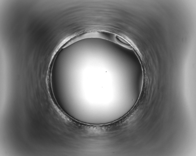 X0000086960901200704301235