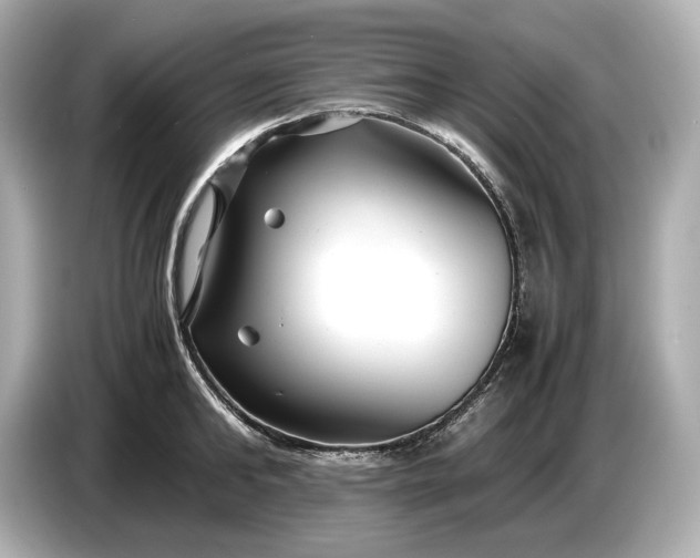 X0000086960902200704301235