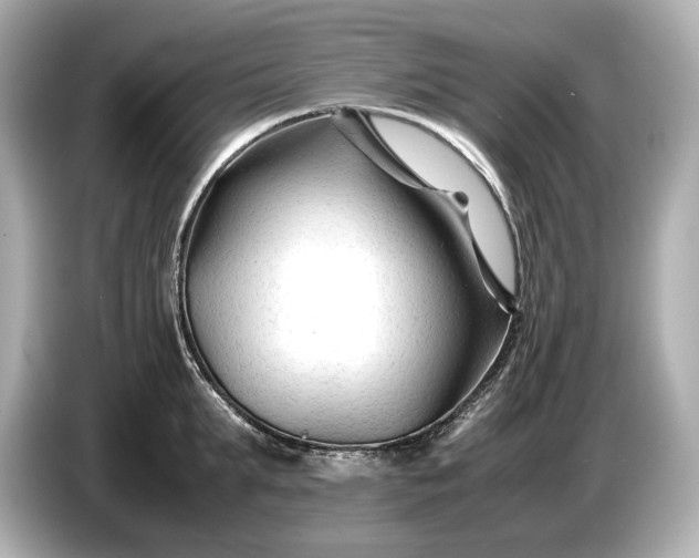 X0000086960903200704301235