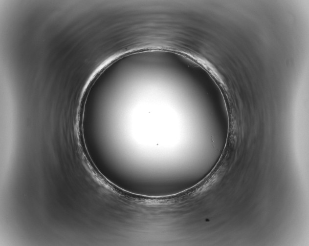 X0000086960904200704301235