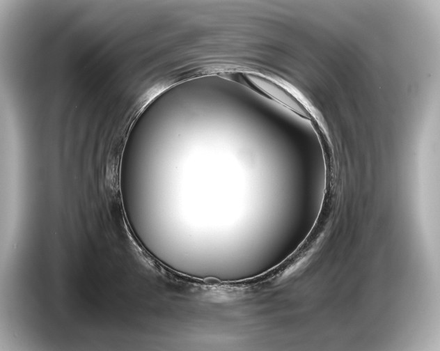 X0000086960905200704301235