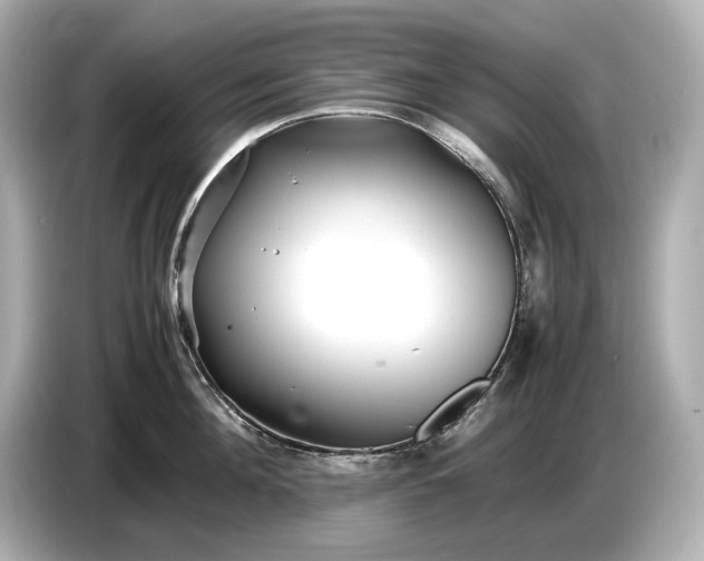 X0000086960908200704301235