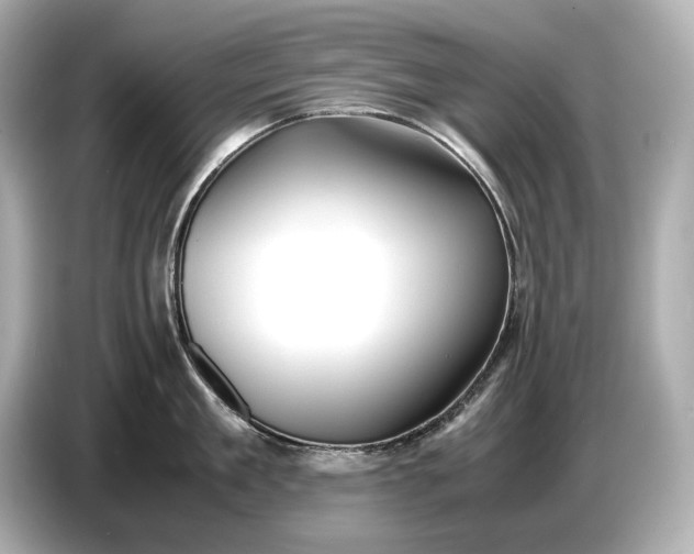 X0000086960909200704301235
