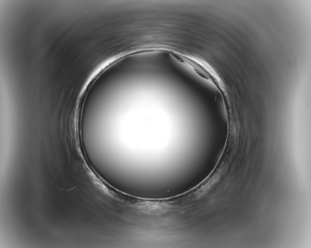 X0000086960910200704301235