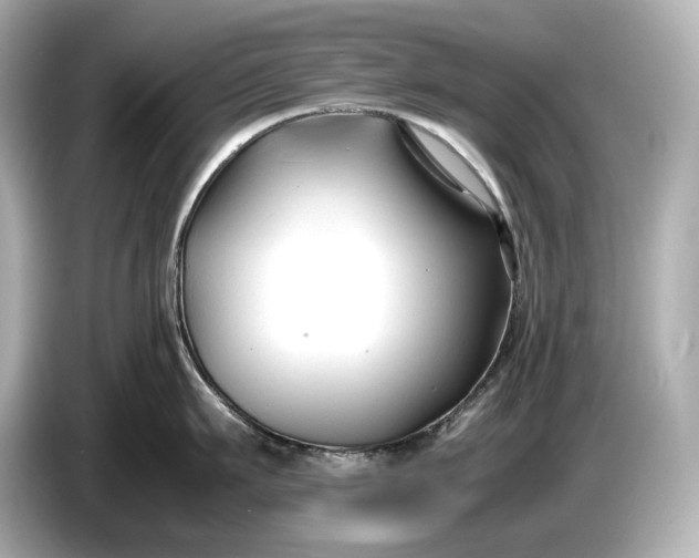X0000086960911200704301235