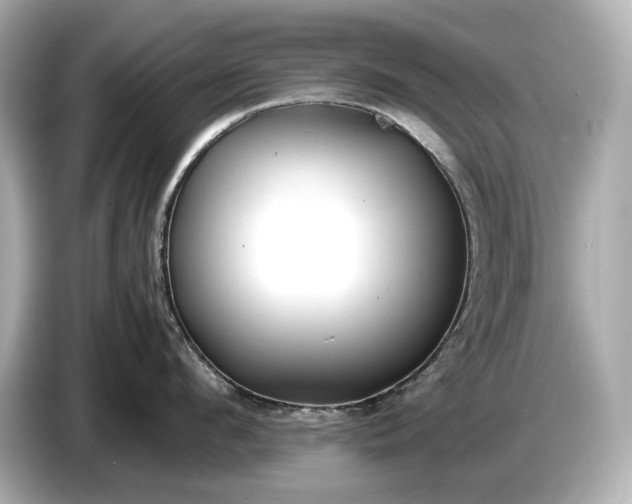 X0000086960912200704301235