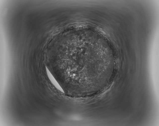 X0000086960913200704301234