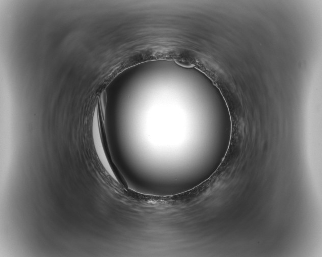 X0000086960914200704301234