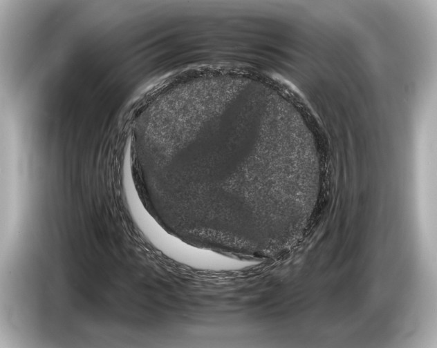 X0000086960919200704301234