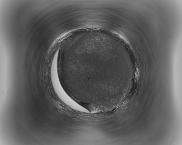 X0000086960920200704301234