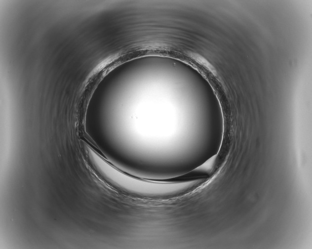 X0000086960922200704301234