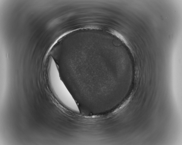 X0000086960923200704301234