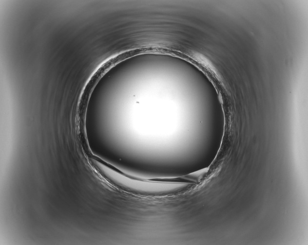 X0000086960924200704301234