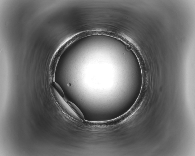 X0000086960925200704301234
