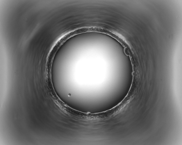 X0000086960927200704301234