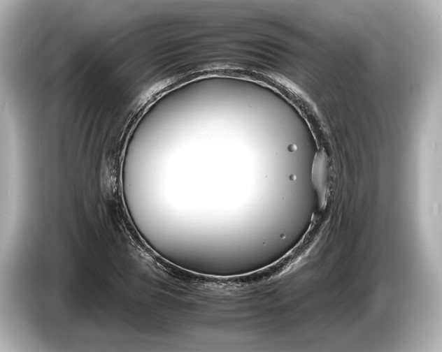 X0000086960929200704301235