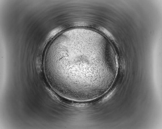 X0000086960930200704301235