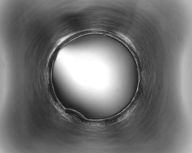 X0000086960931200704301235