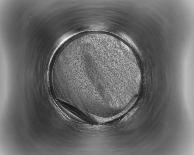 X0000086960932200704301235