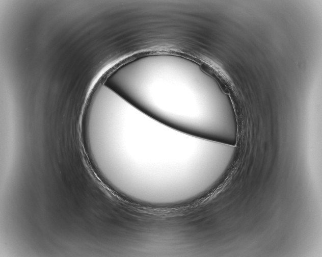 X0000086960936200704301235