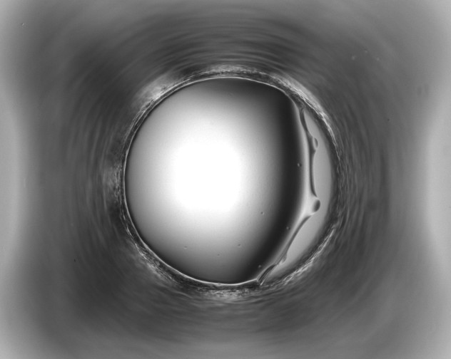 X0000086960937200704301235