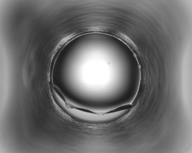 X0000086960938200704301235