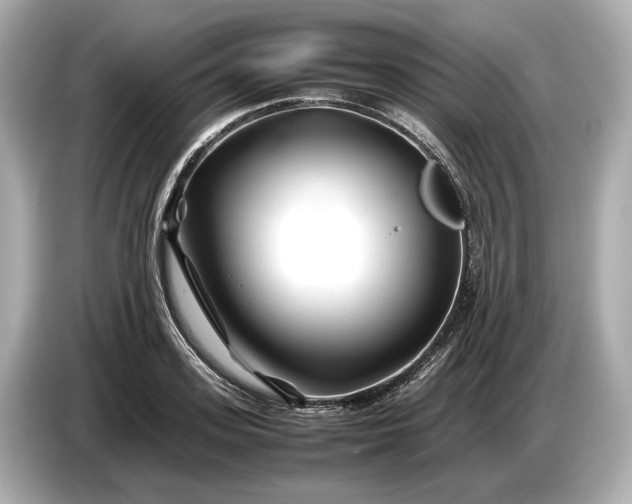 X0000086960939200704301235
