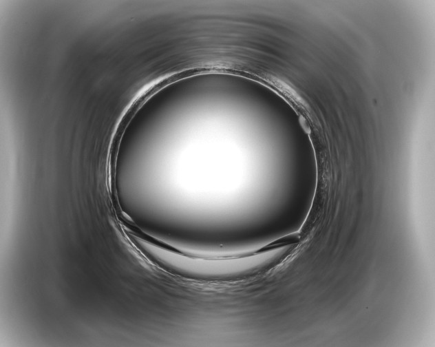 X0000086960940200704301235