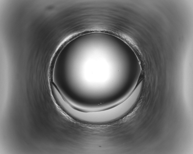 X0000086960942200704301235