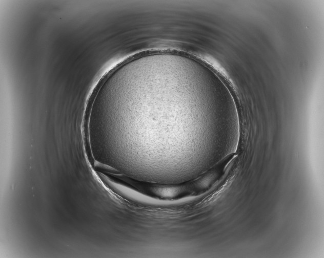 X0000086960943200704301235