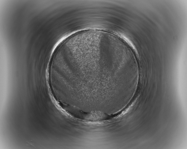 X0000086960944200704301235