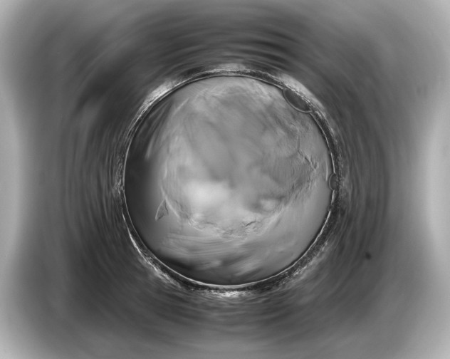 X0000086960945200704301235