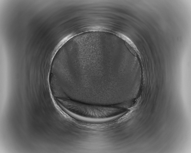X0000086960946200704301235
