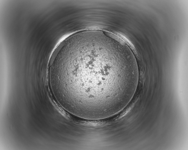 X0000086960948200704301235