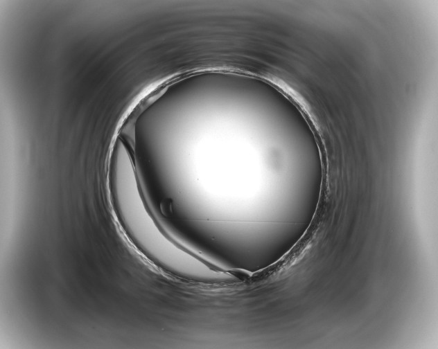 X0000086960949200704301235