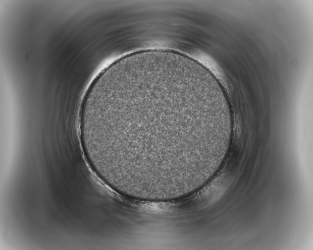X0000086960950200704301235