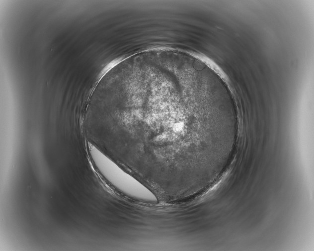 X0000086960953200704301235