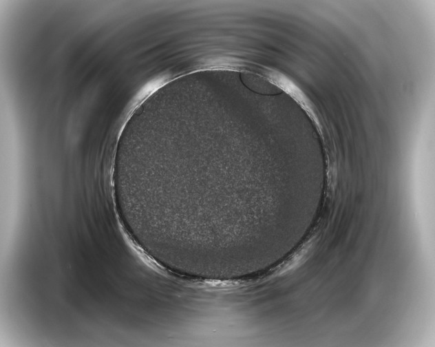 X0000086960954200704301235