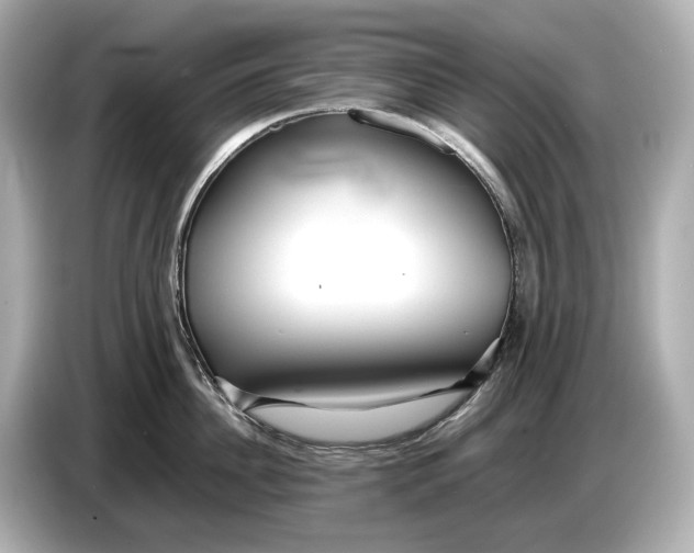 X0000086960956200704301235