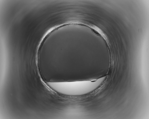 X0000086960958200704301235