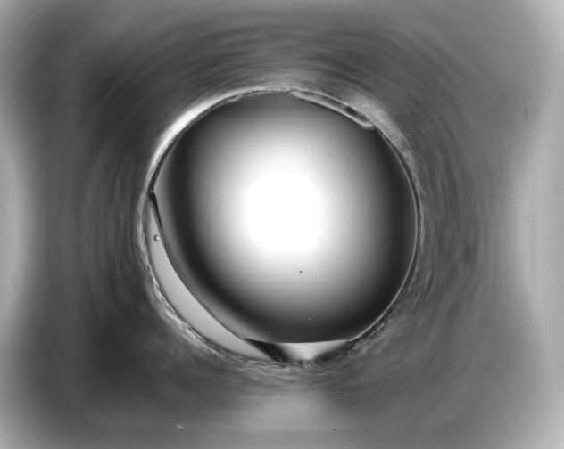 X0000086960960200704301235